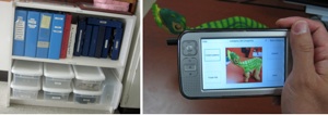 Interactive Visual Supports for Children with Autism