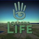 Surveillance, Gaze, and other forms of “Looking” in Second Life