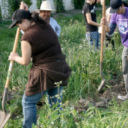 Civic Engagement at UCI